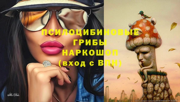 альфа пвп Беломорск