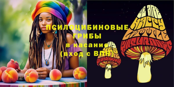 альфа пвп Беломорск