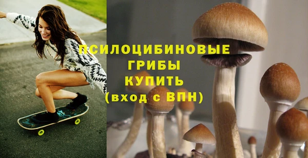 гидра Балабаново