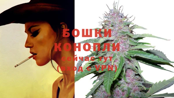 jwh Белокуриха