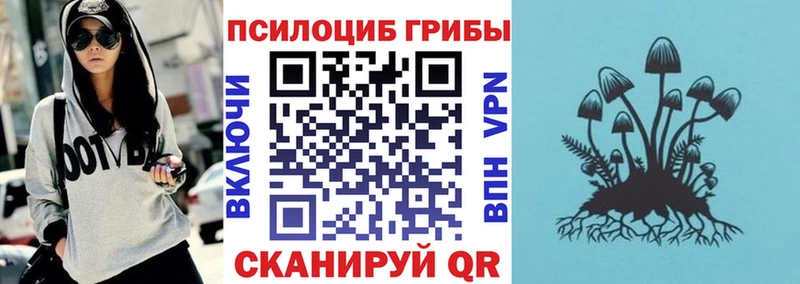 mega как войти  Вязьма  сайты даркнета как зайти  Галлюциногенные грибы прущие грибы 